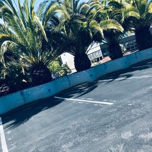 Meet your Posher, Josh